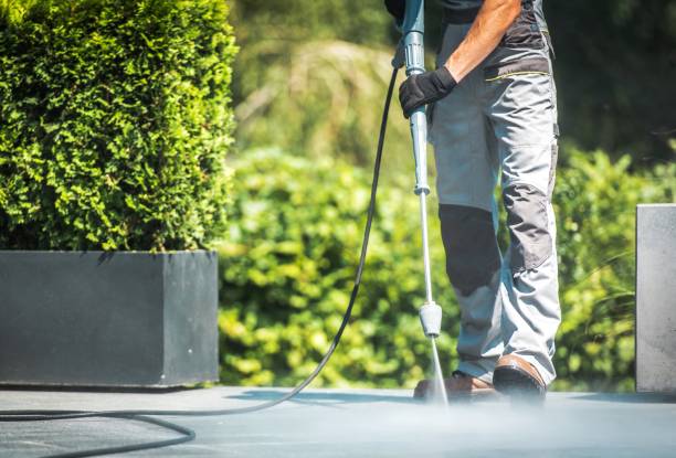 Best Driveway Pressure Washing  in Mount Dora, FL